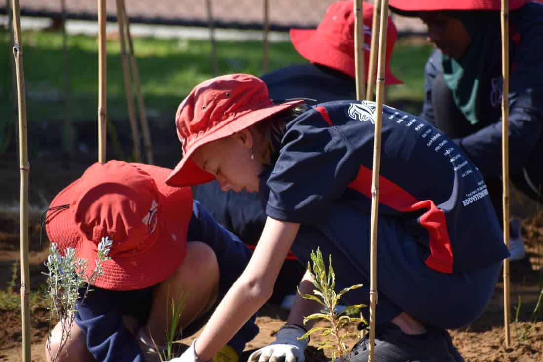 Miyawaki pocket forests popping up in Perth schools! 