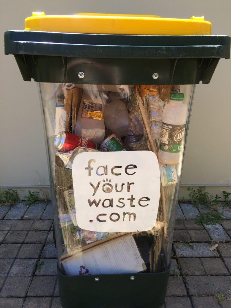 Face Your Waste