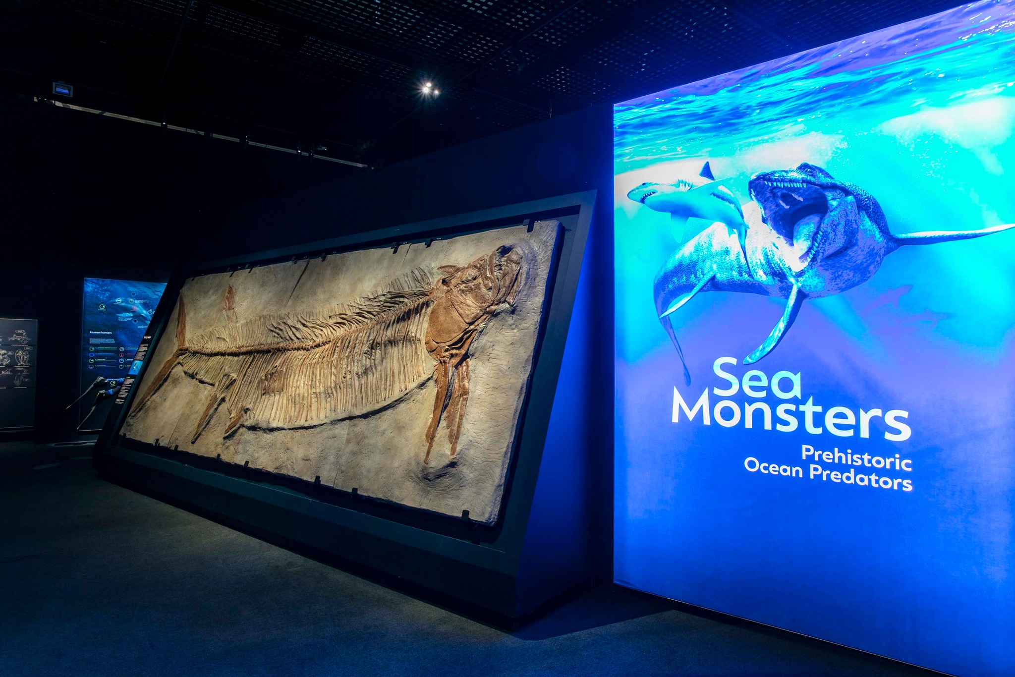WA Maritime Museum - Sea Monsters - 04052023 - img8