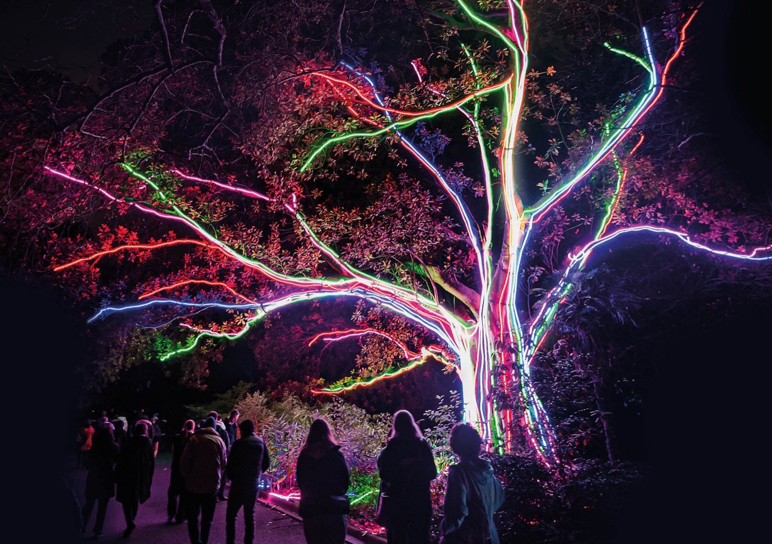 2023 Family Weekend Guide - Jun July - Lightscape Perth