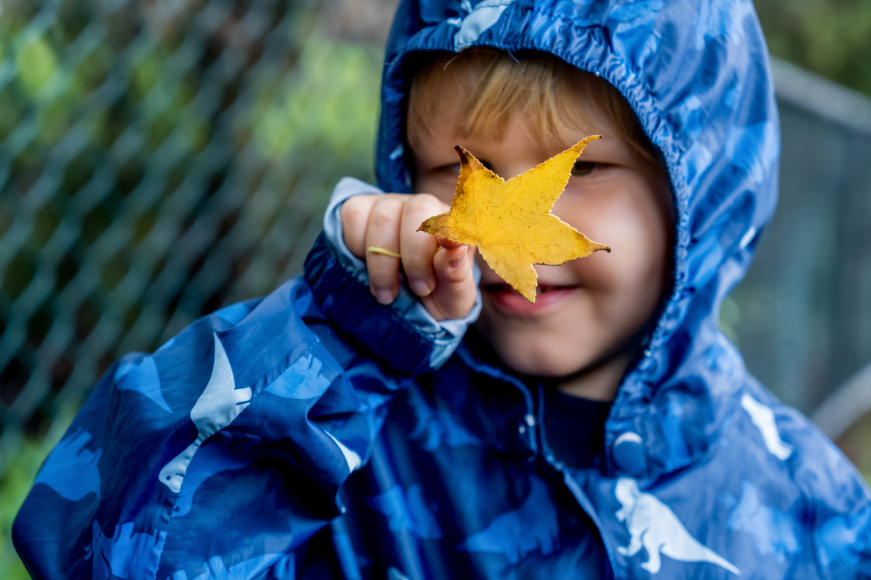 Happy cute caucasian little toddler boy preschooler wearing blue raincoat jacket holding yellow maple leaf on a rainy autumn day. Fall season family walk on the street in the park