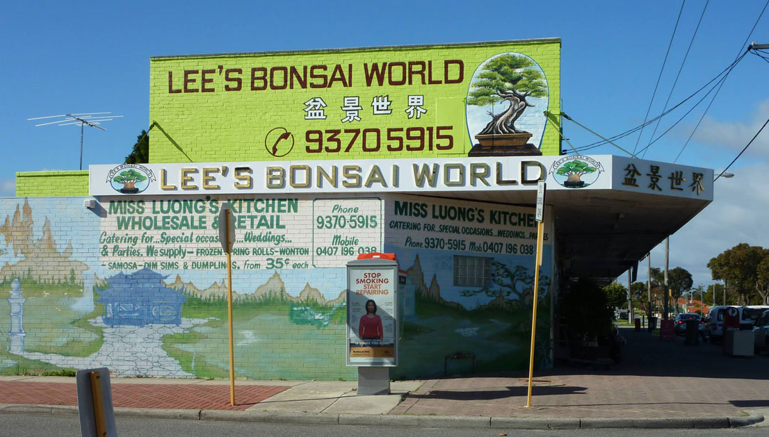 Kids-In-Perth---Family-Weekend-Guide---March-2024---Highlight---Lee's-Bonsai-World