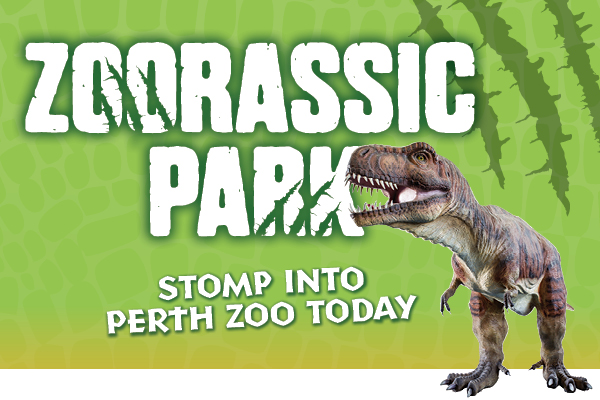 Kids In Perth - 2025 School Holiday - 18042025 - Perth Zoo img1 Kids In Perth - 2025 School Holiday - 18042025 - Perth Zoo img1