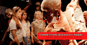 Fever 2025 Body Worlds Perth - Blog ArticleWordPress Headers - 04112025 - v1