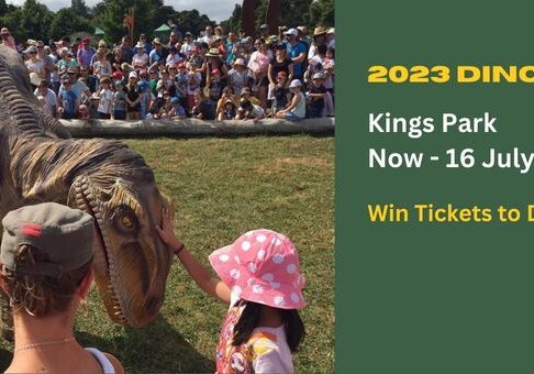 2023 DinoFest Perth - July 2023 - 29072023 - Competition Header