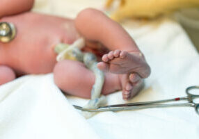 Kids-In-Perth---Feature---Cord-Blood-Banking---03032024-img3