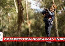 Treetops Adventure Blog ArticleWordPress Feature Image - 15042025 - v1a