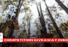 Treetops Adventure Blog ArticleWordPress Feature Image - 16042025 - v1