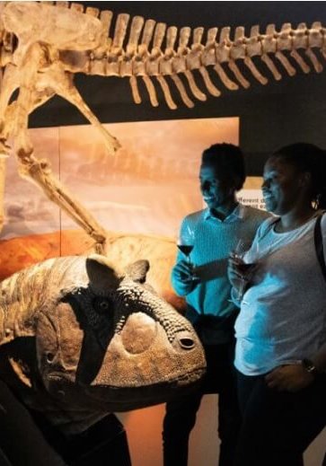 WA Museum - Dinosaurs of Patagonia - Bar Before Time