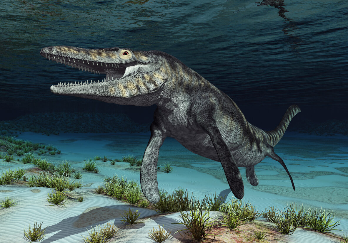 Computer generated 3D illustration with the prehistoric mosasaur Tylosaurus