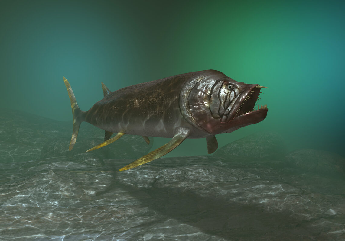 Extinct Cretaceous fish