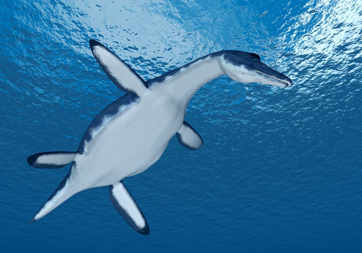 Computer generated 3D illustration with the prehistoric marine reptile Dolichorhynchops